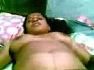 Indian unshaded humped chubby shoo-fly libretto