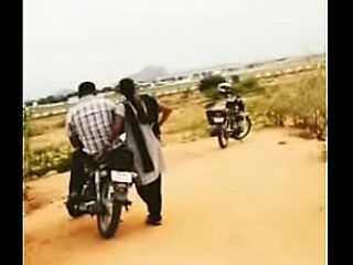 Tamil tolerant tit fluster