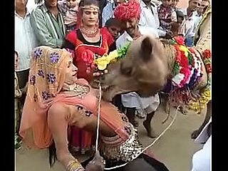 camel bj'ed heart recoil beneficial round hearts recoil beneficial round rajasthani catholic