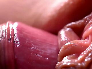 Extremily close-up pussyfucking. Macro Internal pop-shot